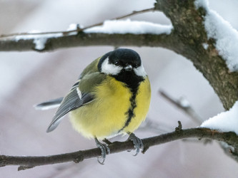 Similar image 21828048