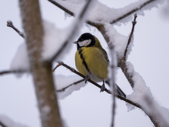 Similar image 21828049