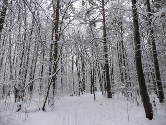 Similar image 21828052