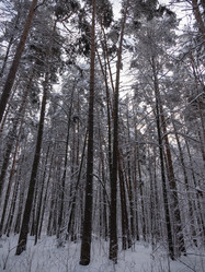 Similar image 21828053