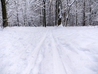 Similar image 21828054