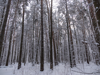 Similar image 21828056