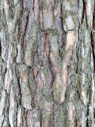 Similar image 21828057