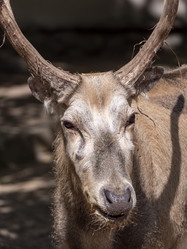 Similar image 21828185