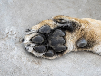 Similar image 21828186