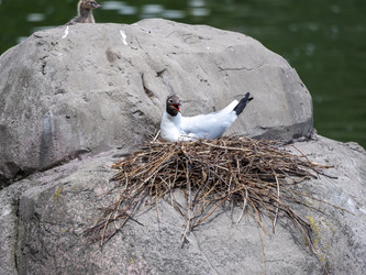 Similar image 21828188