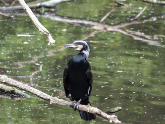 Similar image 21828189