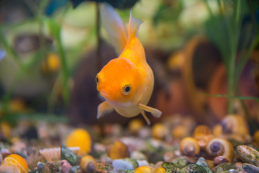 Similar image 21815992