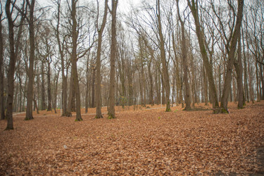 Similar image 21815995