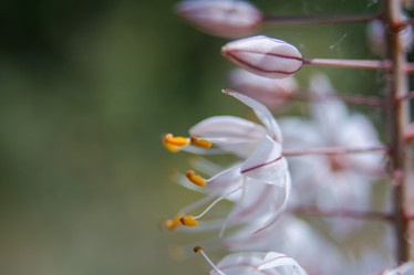 Similar image 21815996