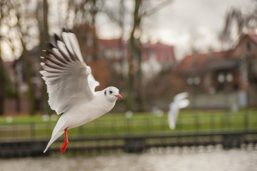 Similar image 21816000