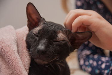 Similar image 21816008