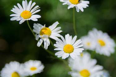 Similar image 21816009