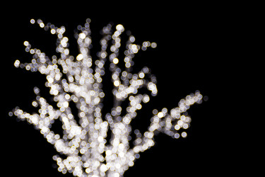 Similar image 21816011