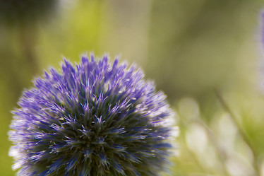 Similar image 21816012