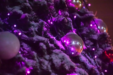 Similar image 21816013