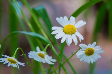 Similar image 21816014