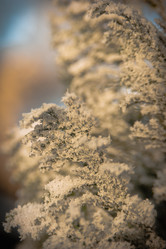 Similar image 21816016