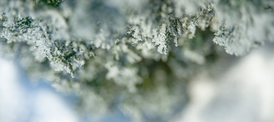 Similar image 21816019