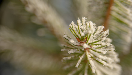 Similar image 21816020