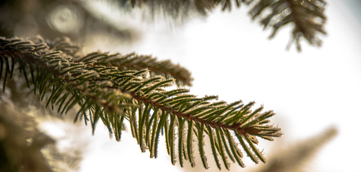 Similar image 21816021