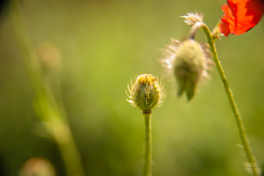 Similar image 21816028