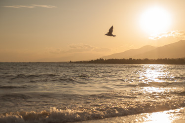 Similar image 21816037