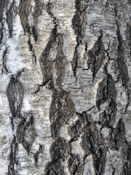 Similar image 21828062