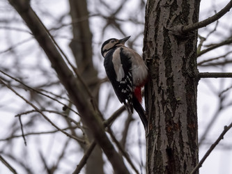 Similar image 21828063