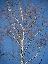 Similar image 21828064