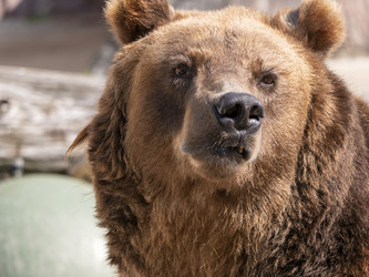 Similar image 21828066