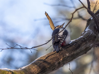 Similar image 21828067