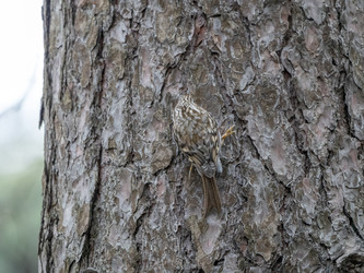 Similar image 21828068