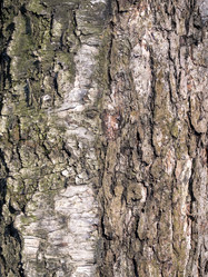 Similar image 21828070