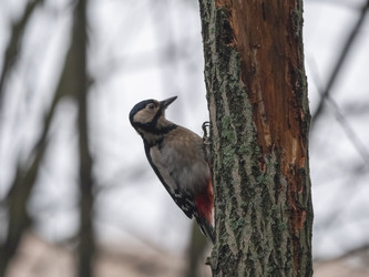 Similar image 21828190