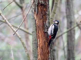 Similar image 21828191