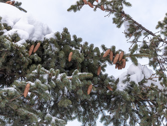 Similar image 21828192