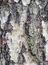 Similar image 21828193