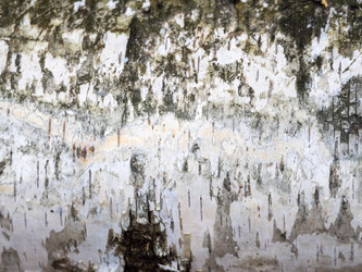 Similar image 21828195