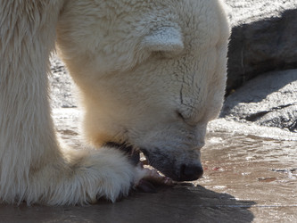 Similar image 21828199