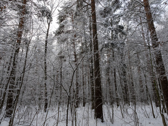 Similar image 21828210