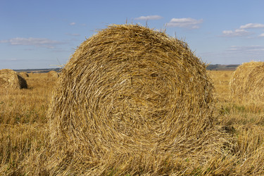 Similar image 21828214