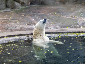 Similar image 21828215