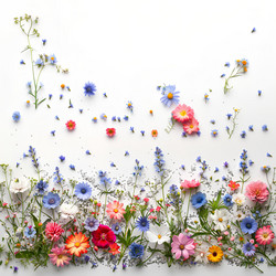 Similar image 21817511