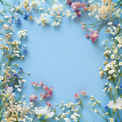 Similar image 21817523