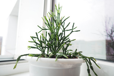 Similar image 21818113