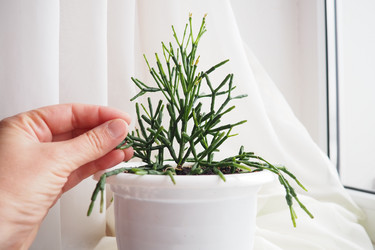 Similar image 21818115