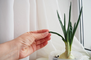 Similar image 21818116