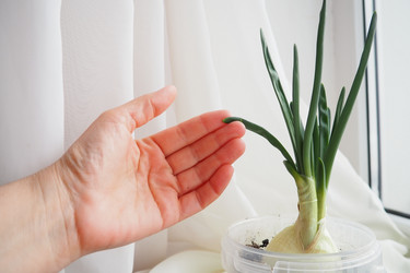 Similar image 21818117