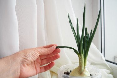 Similar image 21818118